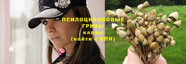 гашик Арсеньев