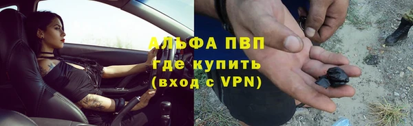 гашик Арсеньев
