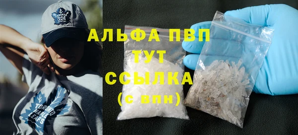 гашик Арсеньев